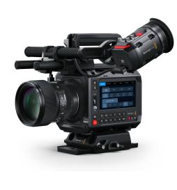 CINECAMCPYXM12LFL