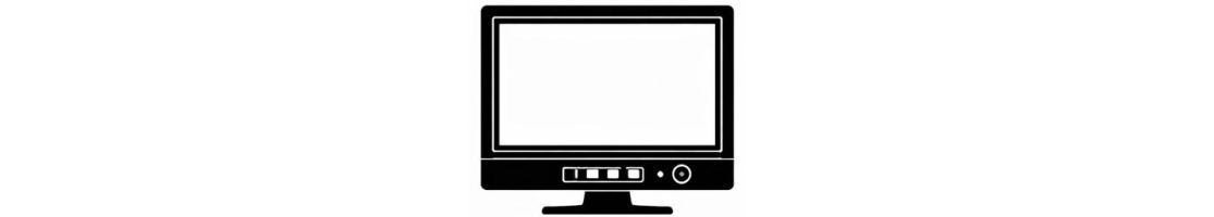 Moniteurs Vidéo